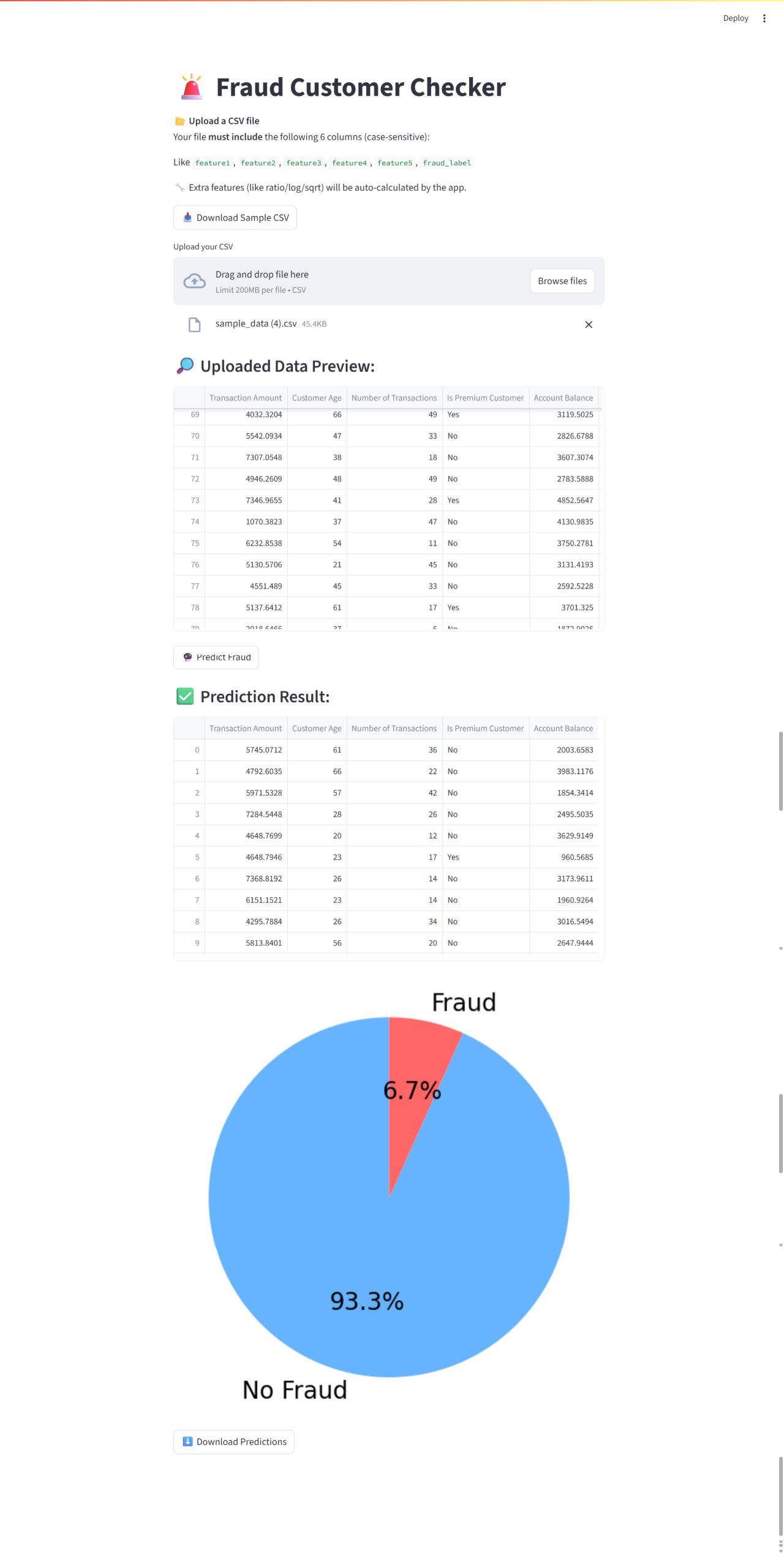 Customer Fraud Detection Project